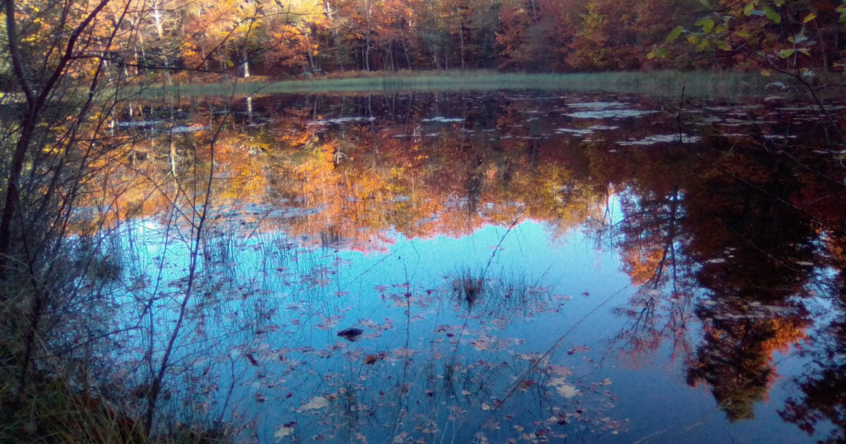 Etang de Pissevache